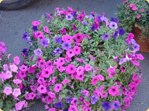 The Esparzas On The Road: Pendleton, Oregon